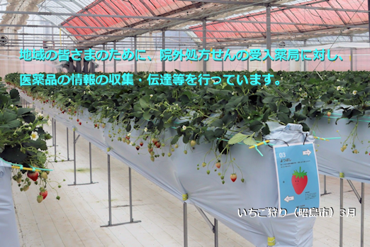 いちご狩り（昭島市）3月